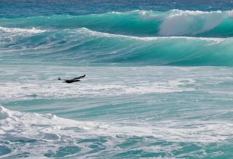 Solymar Beach Condos