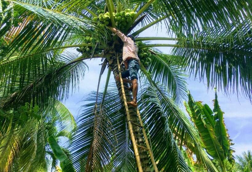هتل Coco Happy Farm