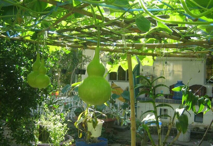 هتل Coco Happy Farm