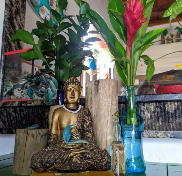 Maresia Hostel Paraty Br