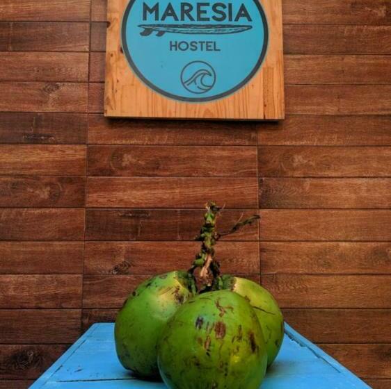 Maresia Hostel Paraty Br