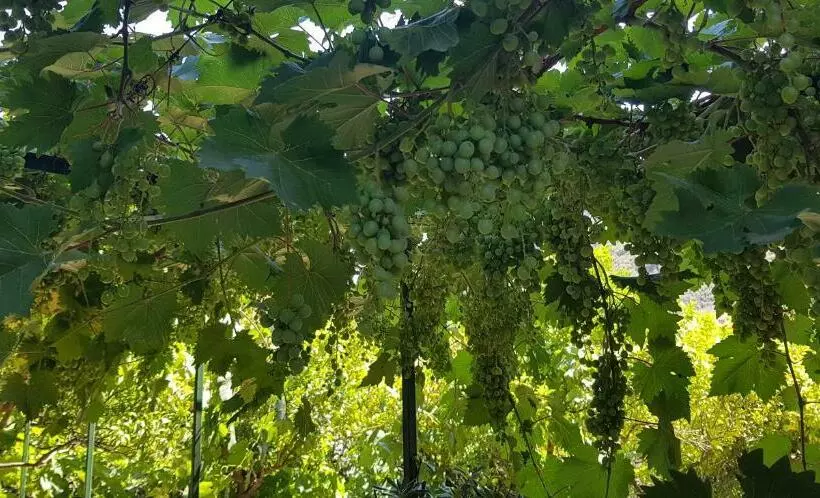 پانسیون Borgo And Bike