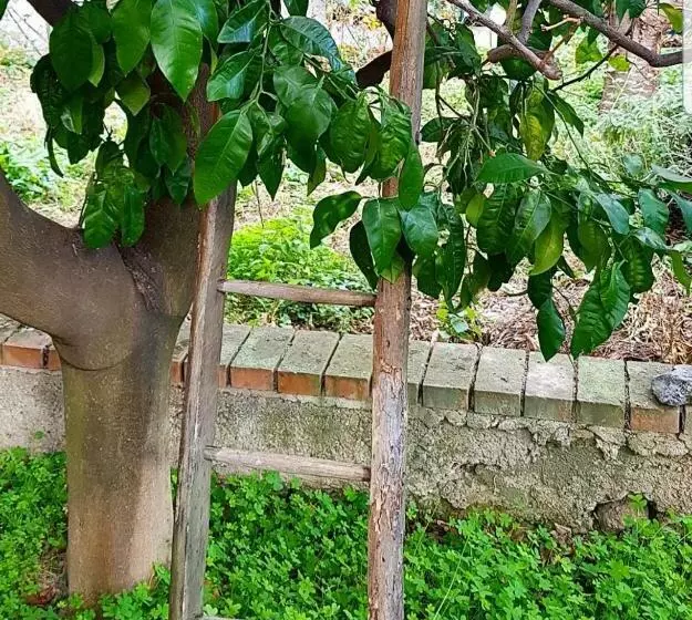 پانسیون Borgo And Bike