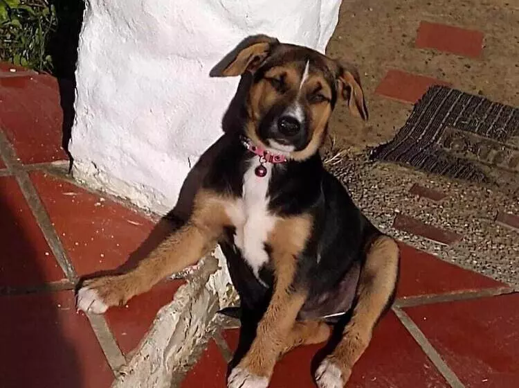 ペンション Villa Luisa Hotels