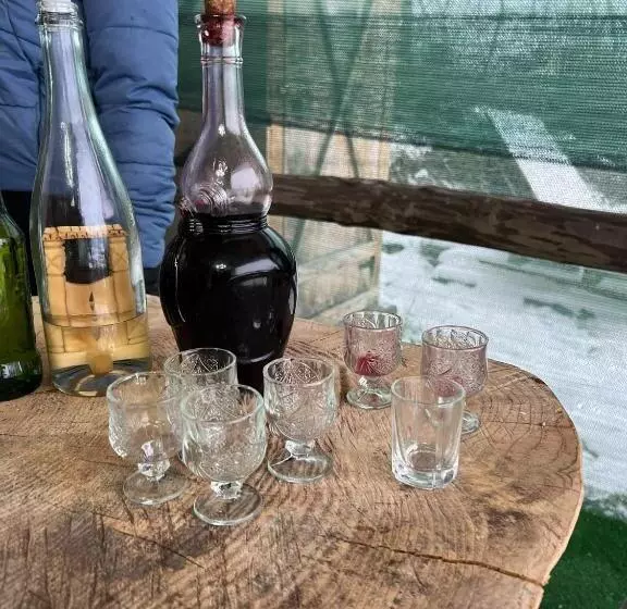 Pensiunea Teodora Breb Maramu