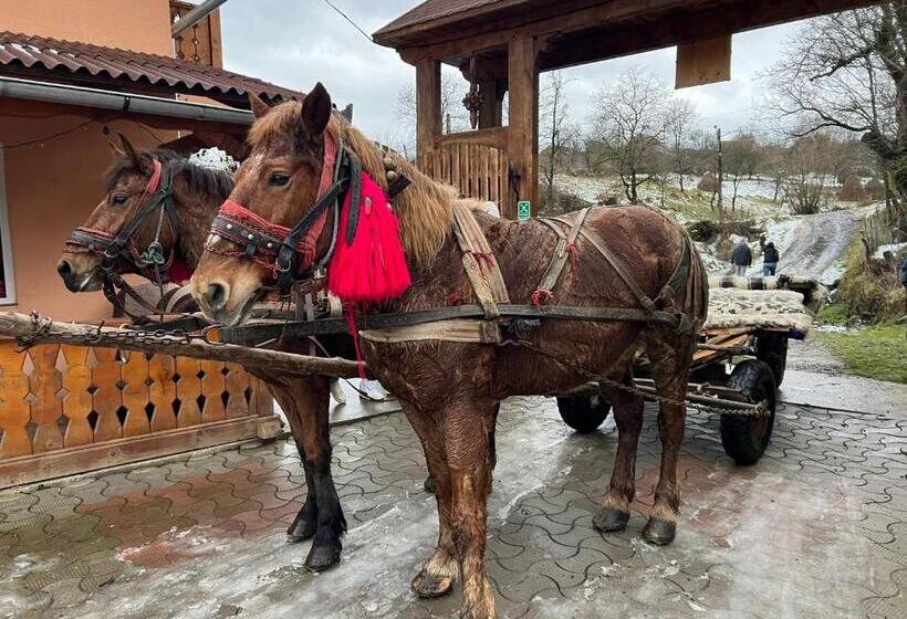Pensiunea Teodora Breb Maramu