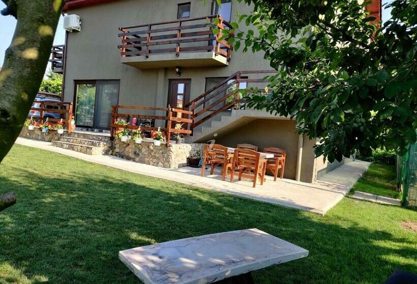 ペンション Casa Vlad