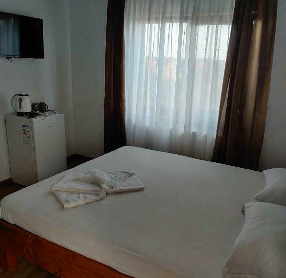 ペンション Casa Vlad