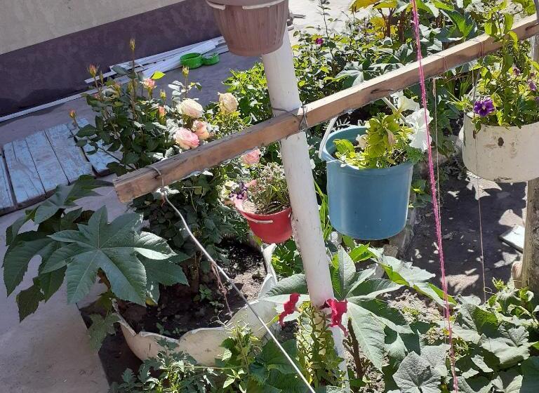 پانسیون Nomad Guest House