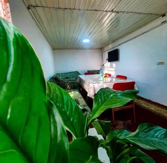 پانسیون Nomad Guest House