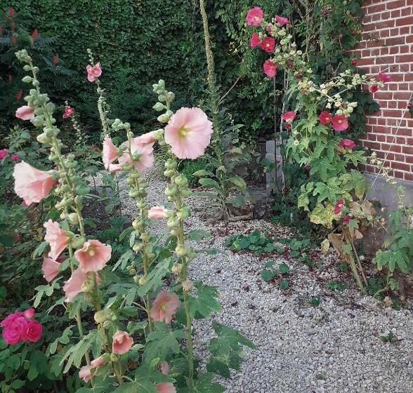 مبيت وإفطار Villa Ritte