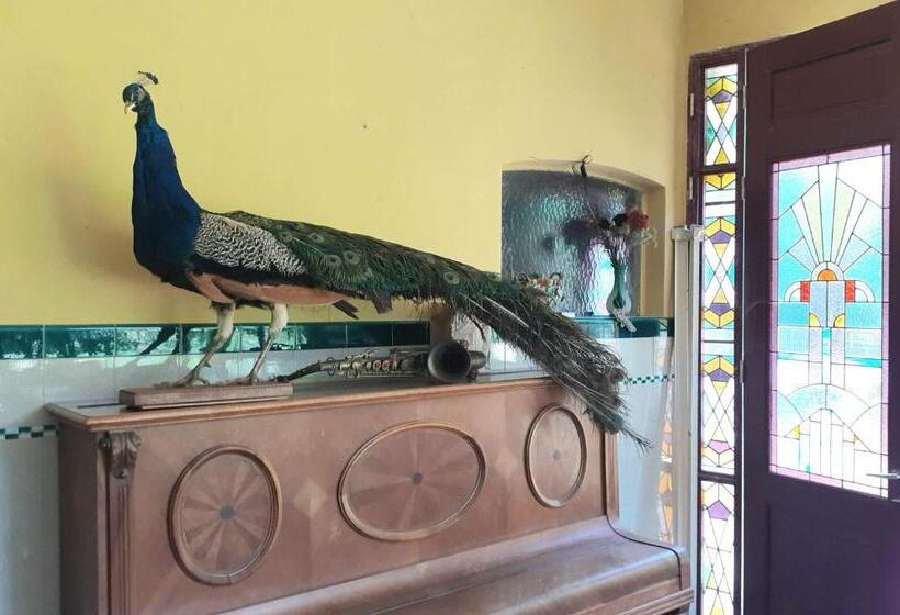 مبيت وإفطار Villa Ritte