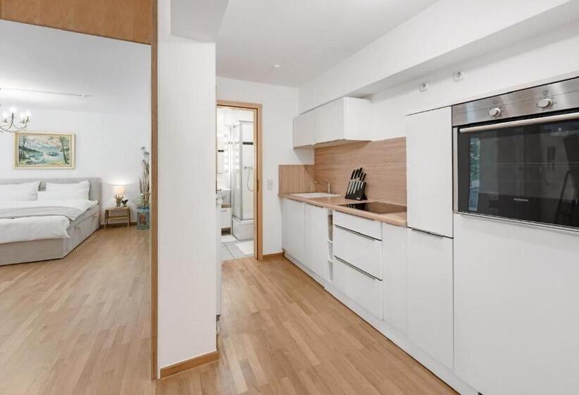 Zwei Zimmer Wohnung Im Stadtzentrum Mit Tiefgaragenplatz