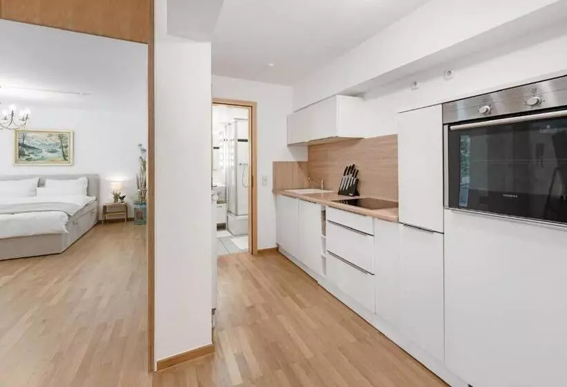 Zwei Zimmer Wohnung Im Stadtzentrum Mit Tiefgaragenplatz