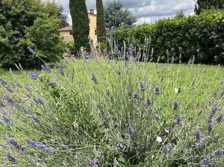 ホテル Agriturismo La Palma Sambuca Val Di Pesa