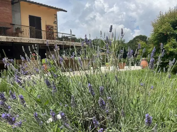 ホテル Agriturismo La Palma Sambuca Val Di Pesa