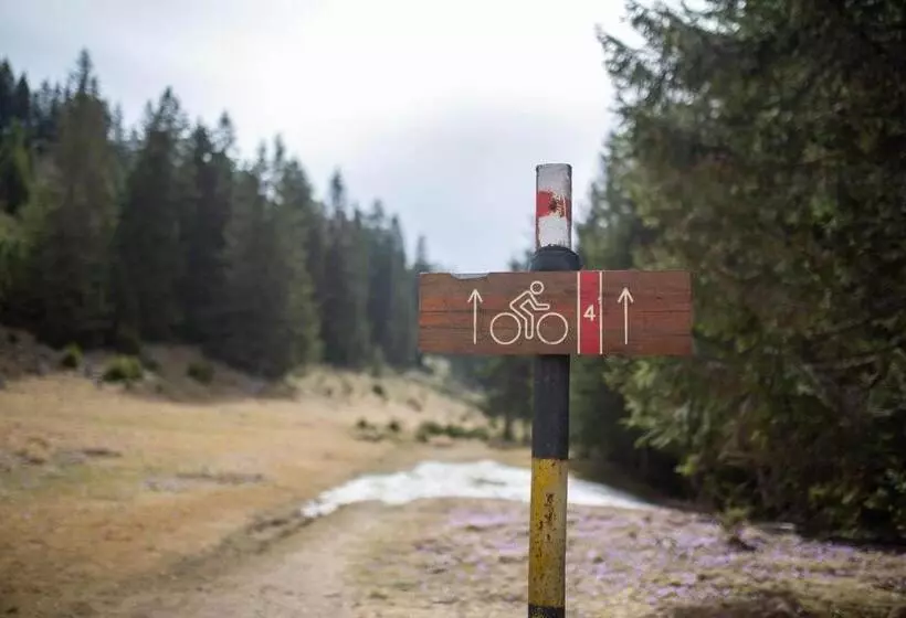 Majatalo Casa Haiducilor Satic