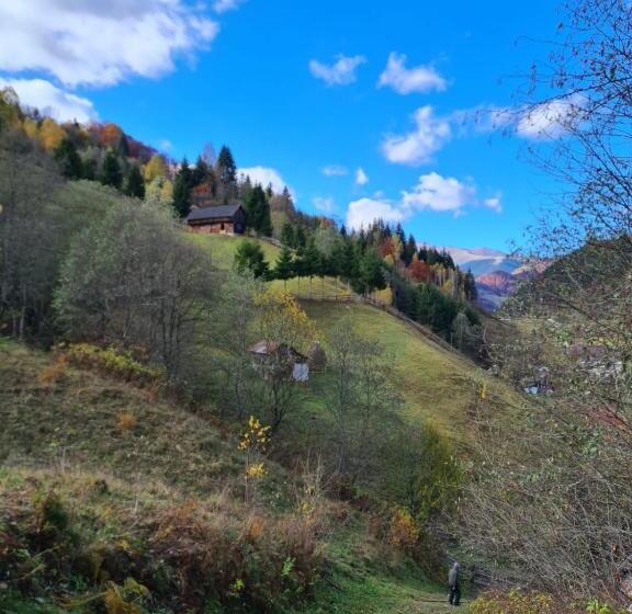 פנסיון Casa Haiducilor Satic