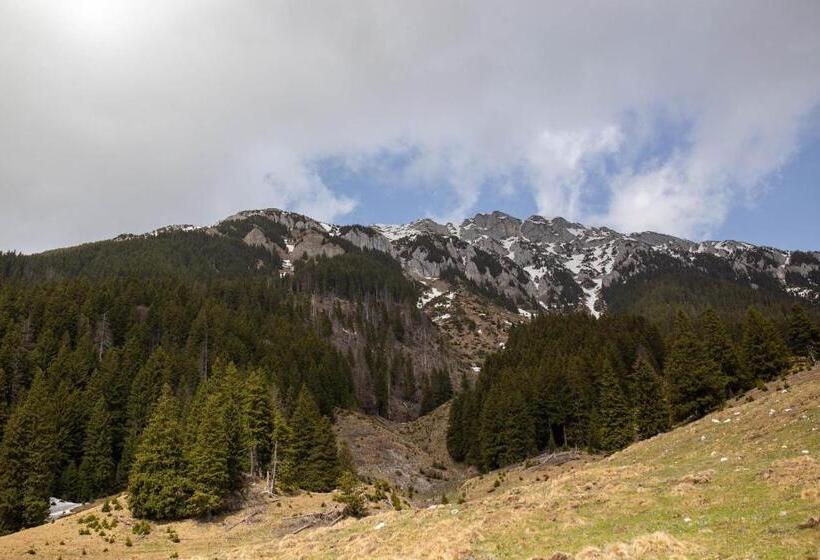 פנסיון Casa Haiducilor Satic