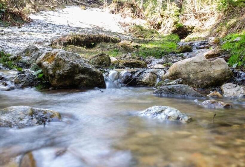 פנסיון Casa Haiducilor Satic