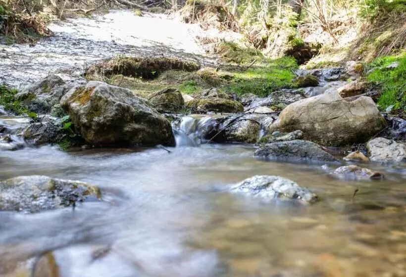 Majatalo Casa Haiducilor Satic