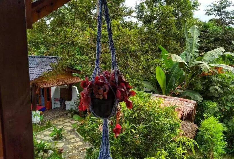 Majatalo Sumatra Orangutan Discovery Villa