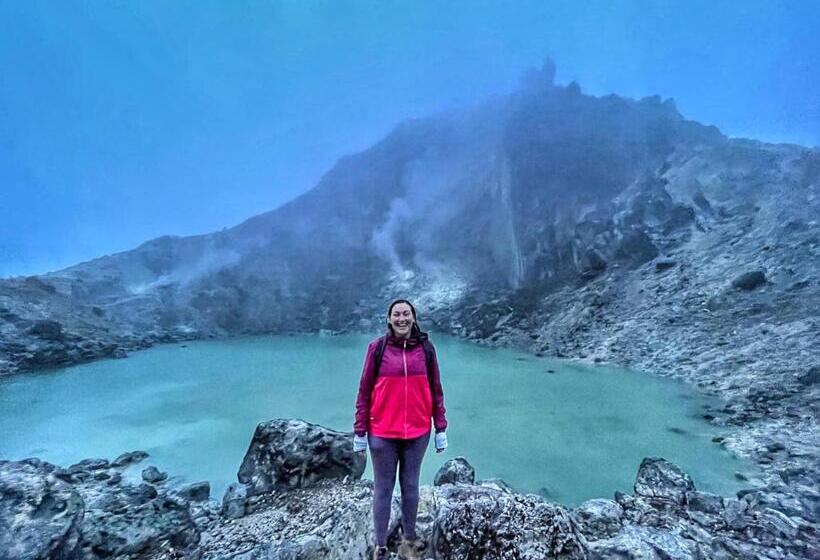 פנסיון Sumatra Orangutan Discovery Villa