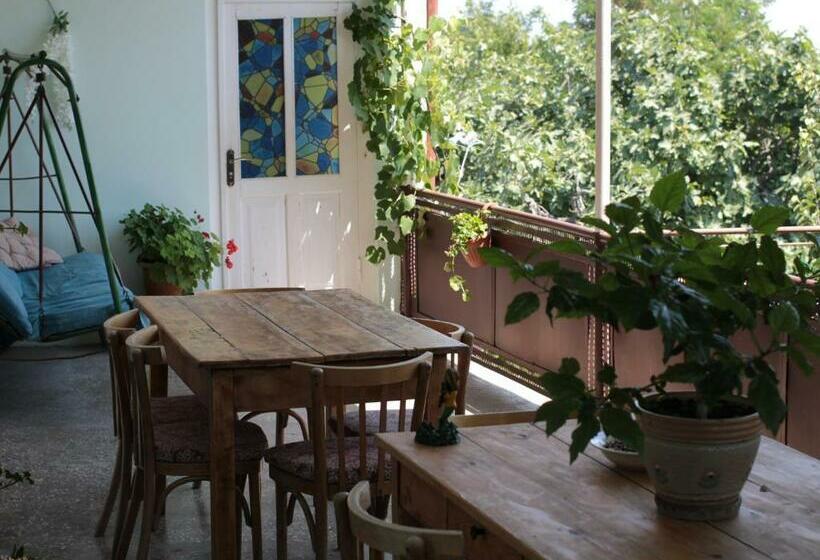 پانسیون Tuta House Sighnaghi