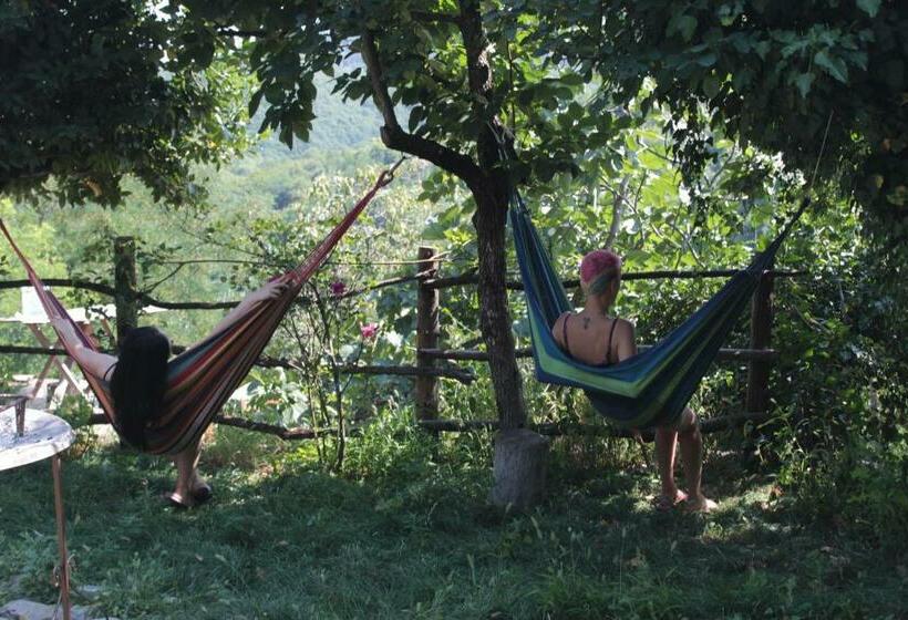 پانسیون Tuta House Sighnaghi