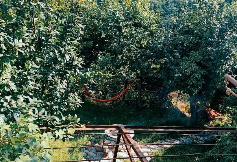 پانسیون Tuta House Sighnaghi