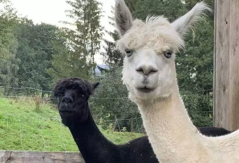 Exenbacher Hof Traumbauernhaus S´haisl