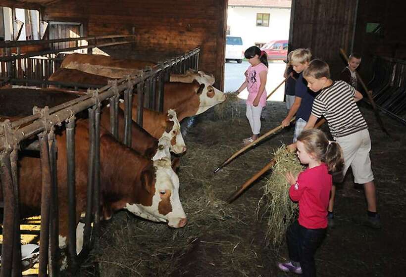 Exenbacher Hof Traumbauernhaus S´haisl