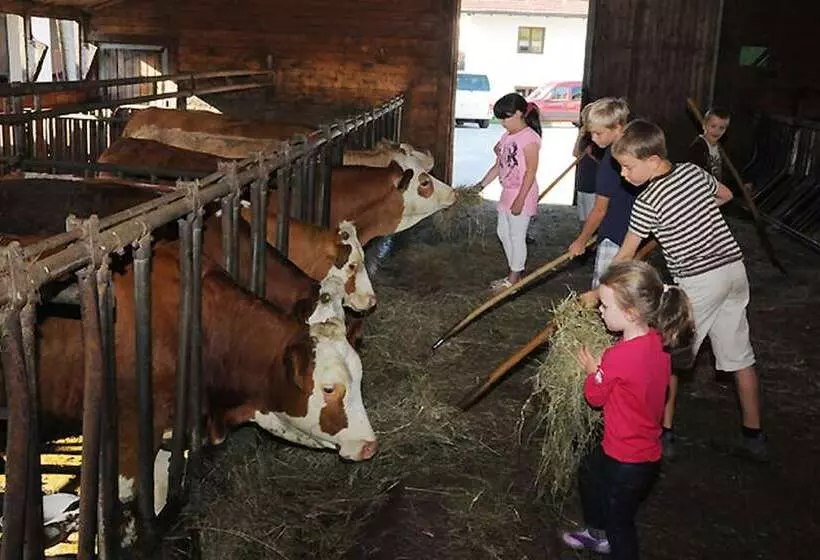 Exenbacher Hof Traumbauernhaus S´haisl
