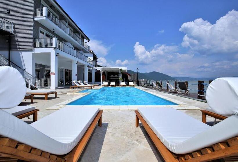 Пансион Serenity