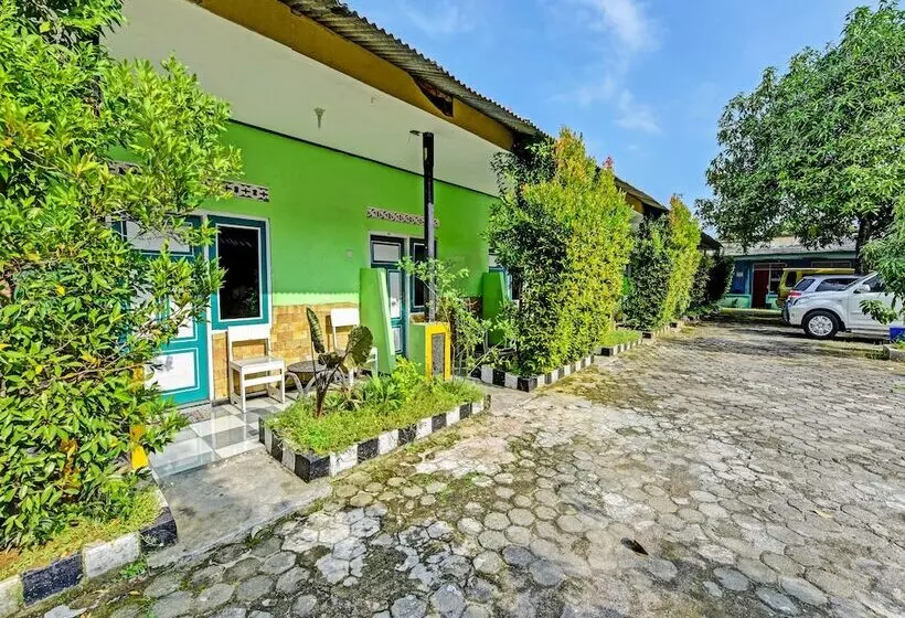 Spot On 91376 Hotel Bintang Flores