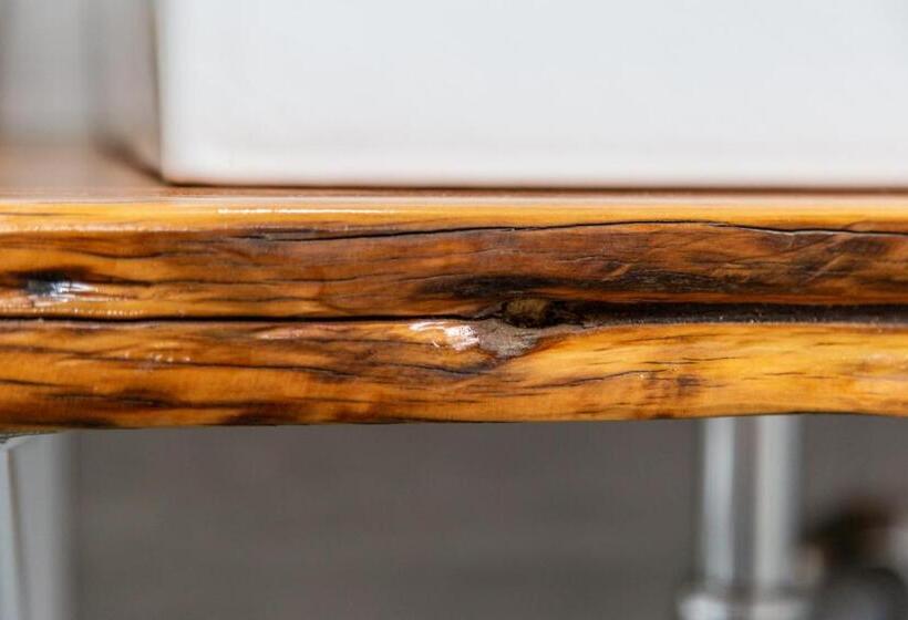 بنسيون Bed And Terrace Caterina