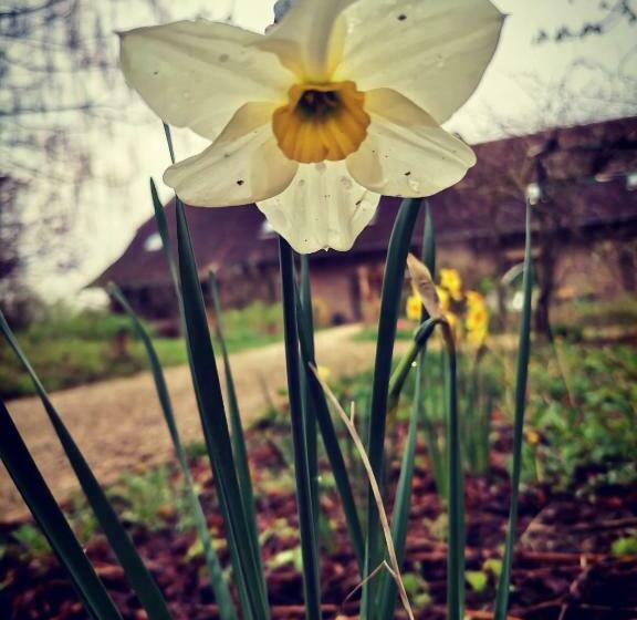 مبيت وإفطار Ecolieu Le Chant Du Temps