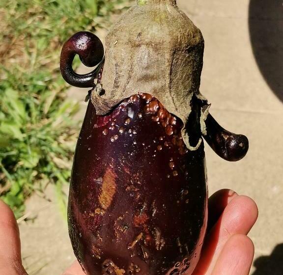 مبيت وإفطار Ecolieu Le Chant Du Temps