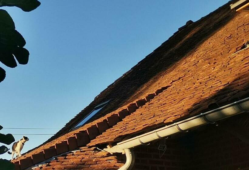 مبيت وإفطار Ecolieu Le Chant Du Temps