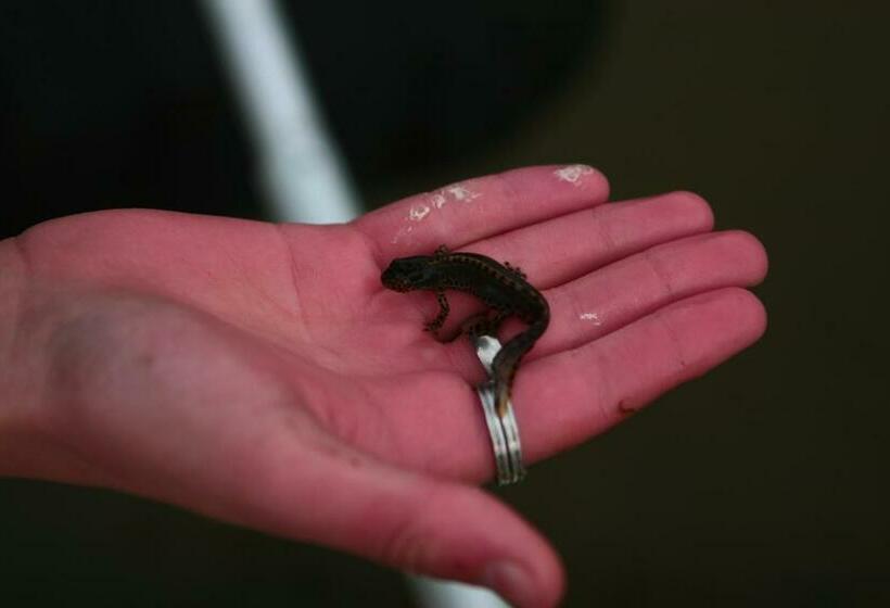 مبيت وإفطار Ecolieu Le Chant Du Temps