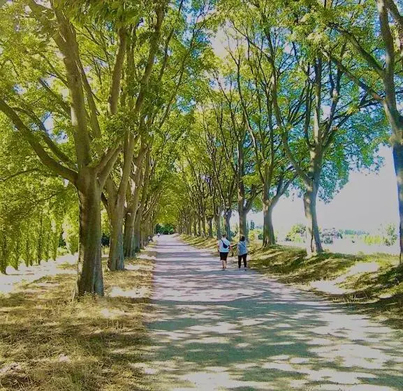 تختخواب و صبحانه Stanza E Bagno Privato, Idromassaggio Con Extra Fee, In Appartamento