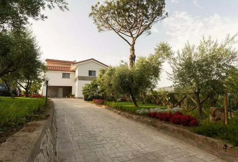 La Gesina B&b