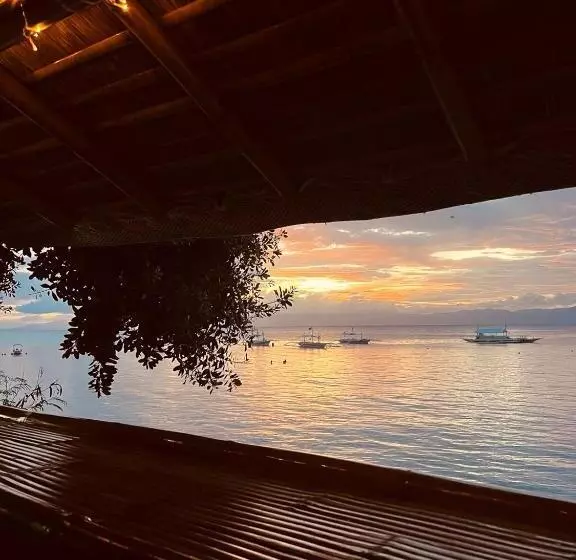 Majatalo Sunnyside Moalboal   써니사이드 모알보알 게스트 하우스