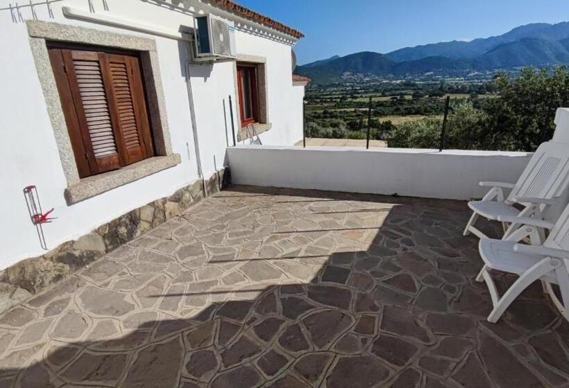 Bed and Breakfast Casa L Ulivariu Affittacamere