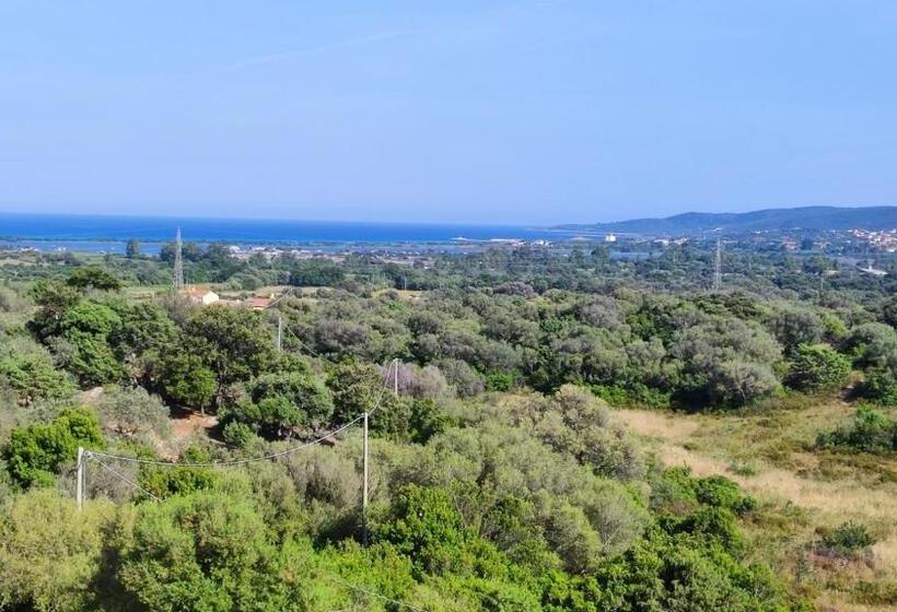 Bed and Breakfast Casa L Ulivariu Affittacamere