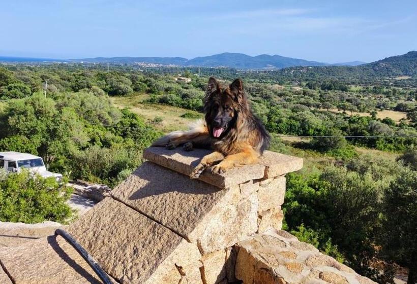 Bed and Breakfast Casa L Ulivariu Affittacamere