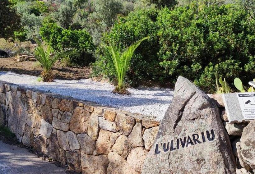 Bed and Breakfast Casa L Ulivariu Affittacamere