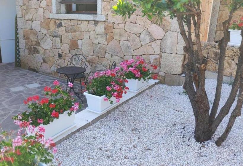 Bed and Breakfast Casa L Ulivariu Affittacamere