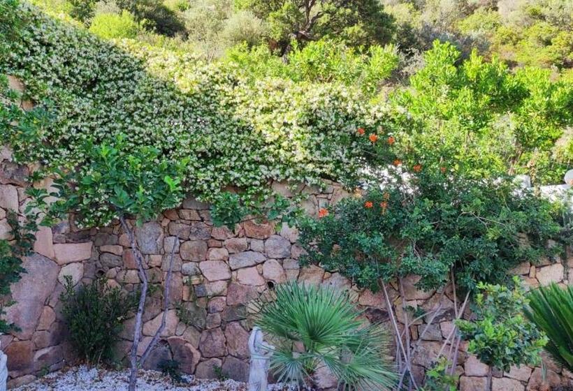 Bed and Breakfast Casa L Ulivariu Affittacamere