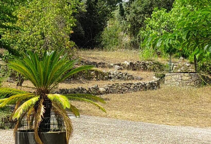 민박 Villa Bayarde